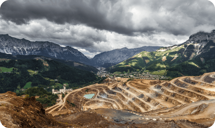 Biodiversity Conservation in Wangjiata Coal  Mine Subsidence Area